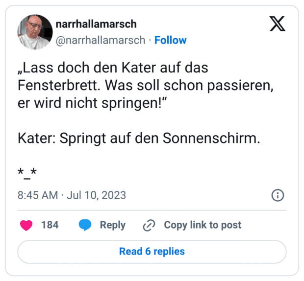 „Lass doch den Kater auf das Fensterbrett. Was soll schon passieren, er wird nicht springen!“
Kater: Springt auf den Sonnenschirm.
*_*