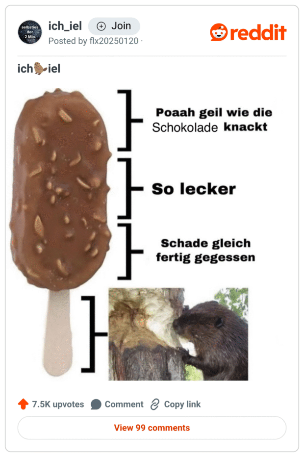 Das Bild ist ein Meme, das ein Schokoladeneis am Stiel zeigt, auf das humorvoll beschriftete Abschnitte hinweisen: Oben steht „Poaah geil wie die Schokolade knackt“, in der Mitte „So lecker“ und weiter unten „Schade gleich fertig gegessen“. Am unteren Ende des Stiels ist ein Foto eines Bibers zu sehen, der an einem Baum nagt, als augenzwinkernde Darstellung für die letzte Phase, wenn man das Eis so weit gegessen hat, dass man an den Holzstiel kommt. Das Meme spielt auf den bekannten Genuss- und Trauerverlauf beim Eisessen an.