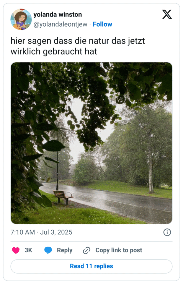 Auf dem Bild ist eine leere Parkbank am Straßenrand unter dichten Bäumen zu sehen, während starker Regen fällt. Im Vordergrund hängen große, nasse Blätter herab, die den Blick auf die regennasse Straße und die grüne, durchnässte Vegetation rahmen. Die Szene vermittelt eine ruhige, melancholische Stimmung und illustriert perfekt den Tweettext: „hier sagen dass die natur das jetzt wirklich gebraucht hat“ – ein typischer Satz, den viele beim ersten Regen nach einer Hitzewelle sagen.