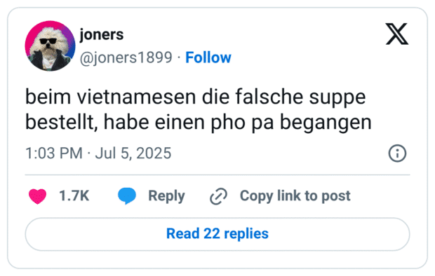 beim vietnamesen die falsche suppe bestellt, habe einen pho pa begangen