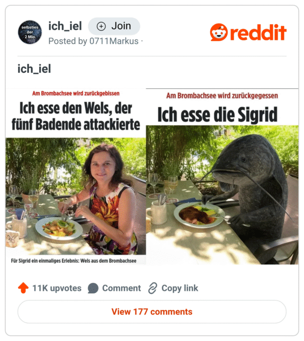 Auf dem Bild sind zwei nebeneinander montierte Fotos zu sehen, beide scheinbar an einem Restauranttisch im Grünen aufgenommen. Links sitzt eine Frau namens Sigrid lachend vor einem Teller mit einem Gericht, darüber steht die Schlagzeile:
„Ich esse den Wels, der fünf Badende attackierte“.
Unten im Kleingedruckten:
„Für Sigrid ein einmaliges Erlebnis: Wels aus dem Brombachsee“.

Rechts ist das gleiche Setting, doch anstelle von Sigrid sitzt dort ein großer Wels, der mit Messer und Gabel auf einen Teller mit einem menschlichen Kopf zielt. Die Schlagzeile lautet:
„Ich esse die Sigrid“.

Das Meme dreht den Spieß humorvoll um und spielt auf eine reißerische Headline an, indem es die Perspektive von Angreifer und Opfer tauscht.