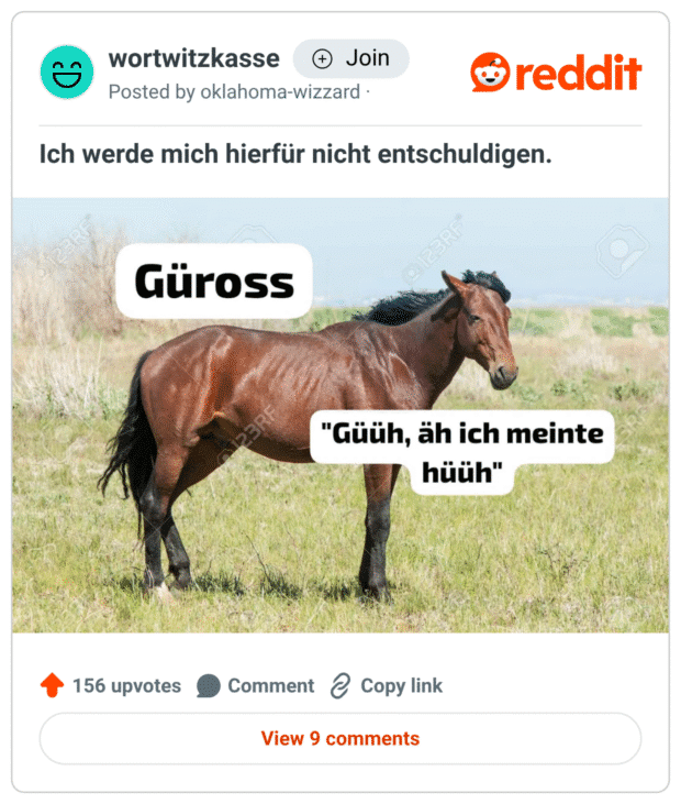 Das Bild zeigt ein braunes Pferd auf einer Wiese mit zwei Textfeldern: Links steht in fetten Buchstaben „Güross“, und daneben in einer Sprechblase: „Güüh, äh ich meinte hüüh“. Der Witz spielt auf eine absurde Vermischung der Grußformel „Grüß“ und dem Wiehern eines Pferdes an.