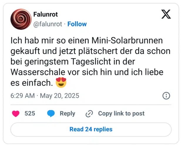 Ich hab mir so einen Mini-Solarbrunnen gekauft und jetzt plätschert der da schon bei geringstem Tageslicht in der Wasserschale vor sich hin und ich liebe es einfach. 😍