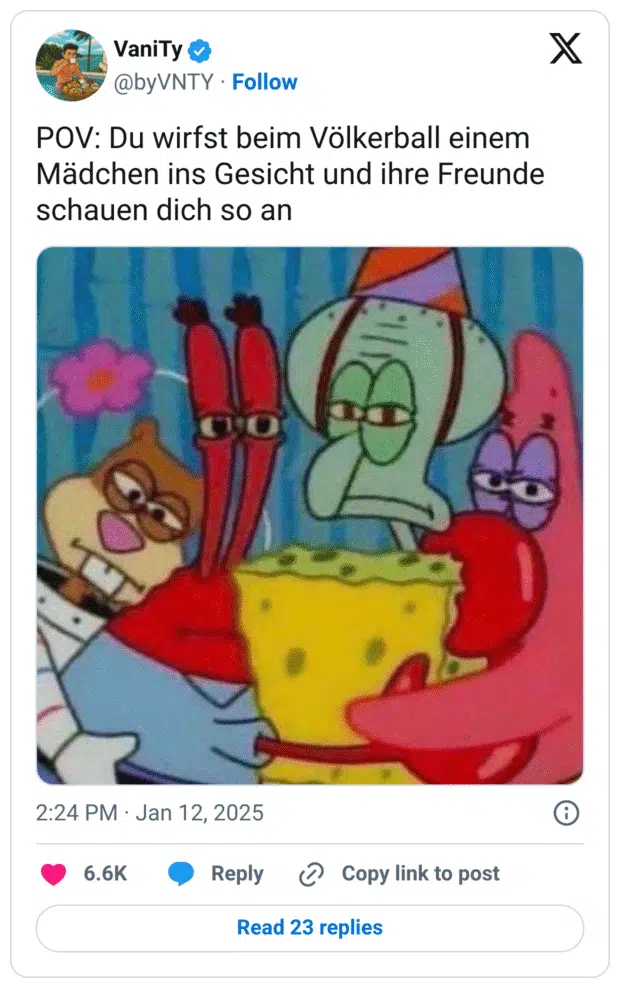 POV: Du wirfst beim Völkerball einem Mädchen ins Gesicht und ihre Freunde schauen dich so an
