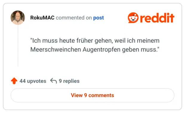 "Ich muss heute früher gehen, weil ich meinem Meerschweinchen Augentropfen geben muss."