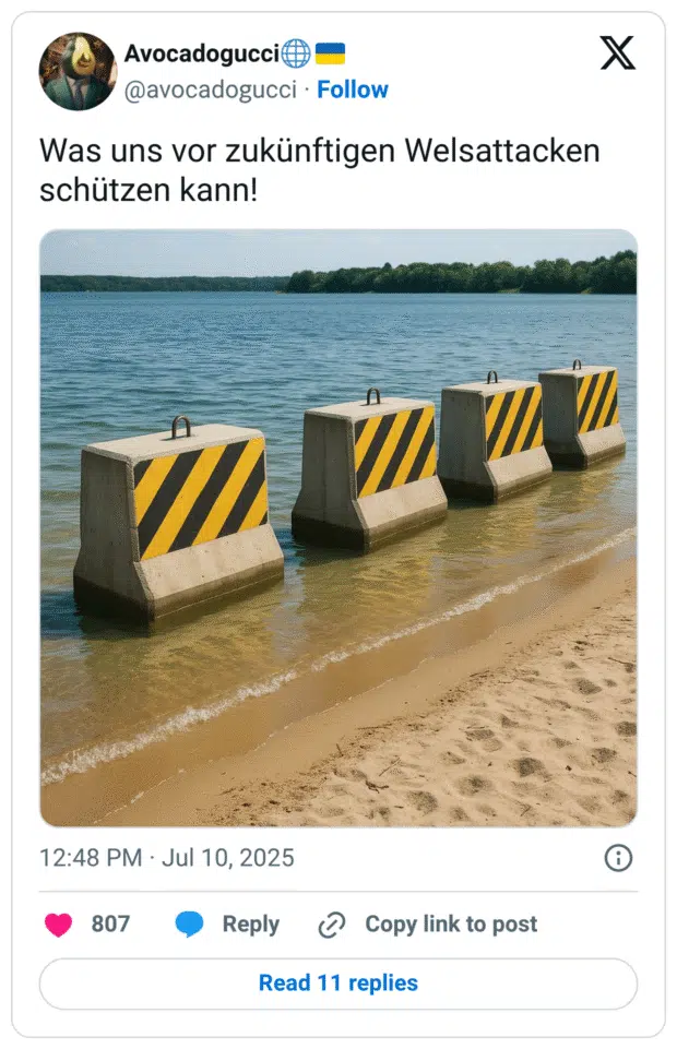 Was uns vor zukünftigen Welsattacken schützen kann!
