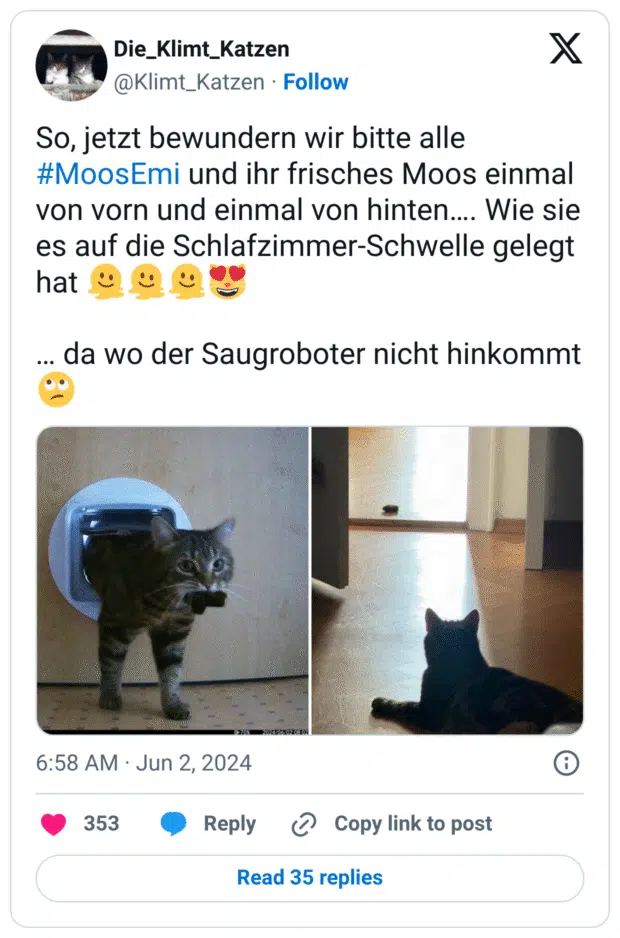 So, jetzt bewundern wir bitte alle #MoosEmi und ihr frisches Moos einmal von vorn und einmal von hinten…. Wie sie es auf die Schlafzimmer-Schwelle gelegt hat :schmelzendes_gesicht::schmelzendes_gesicht::schmelzendes_gesicht::katze_herzaugen:
… da wo der Saugroboter nicht hinkommt :gesicht_verdreht_augen: