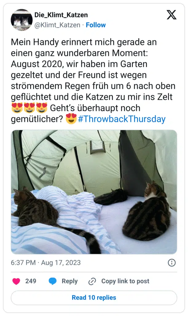 Mein Handy erinnert mich gerade an einen ganz wunderbaren Moment: August 2020, wir haben im Garten gezeltet und der Freund ist wegen strömendem Regen früh um 6 nach oben geflüchtet und die Katzen zu mir ins Zelt 😻😻😻 Geht’s überhaupt noch gemütlicher? 😍#ThrowbackThursday

