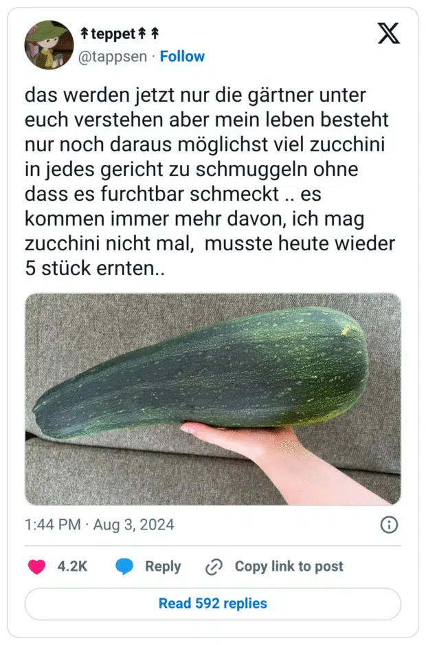 das werden jetzt nur die gärtner unter euch verstehen aber mein leben besteht nur noch daraus möglichst viel zucchini in jedes gericht zu schmuggeln ohne dass es furchtbar schmeckt .. es kommen immer mehr davon, ich mag zucchini nicht mal, musste heute wieder 5 stück ernten..