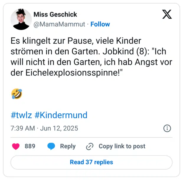 Es klingelt zur Pause, viele Kinder strömen in den Garten. Jobkind (8): "Ich will nicht in den Garten, ich hab Angst vor der Eichelexplosionsspinne!"

🤣

#twlz #Kindermund