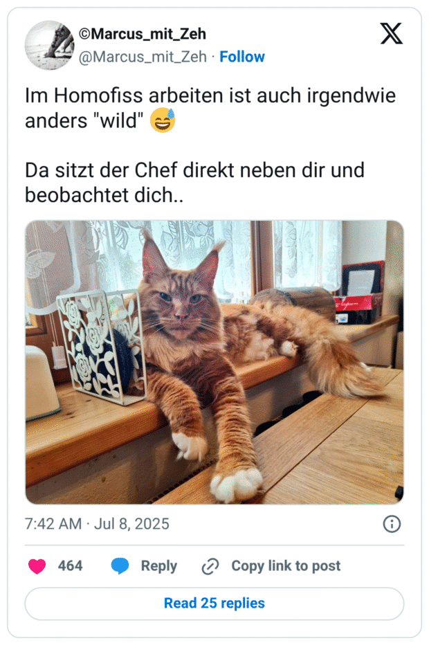Im Homofiss arbeiten ist auch irgendwie anders "wild" 😅

Da sitzt der Chef direkt neben dir und beobachtet dich..