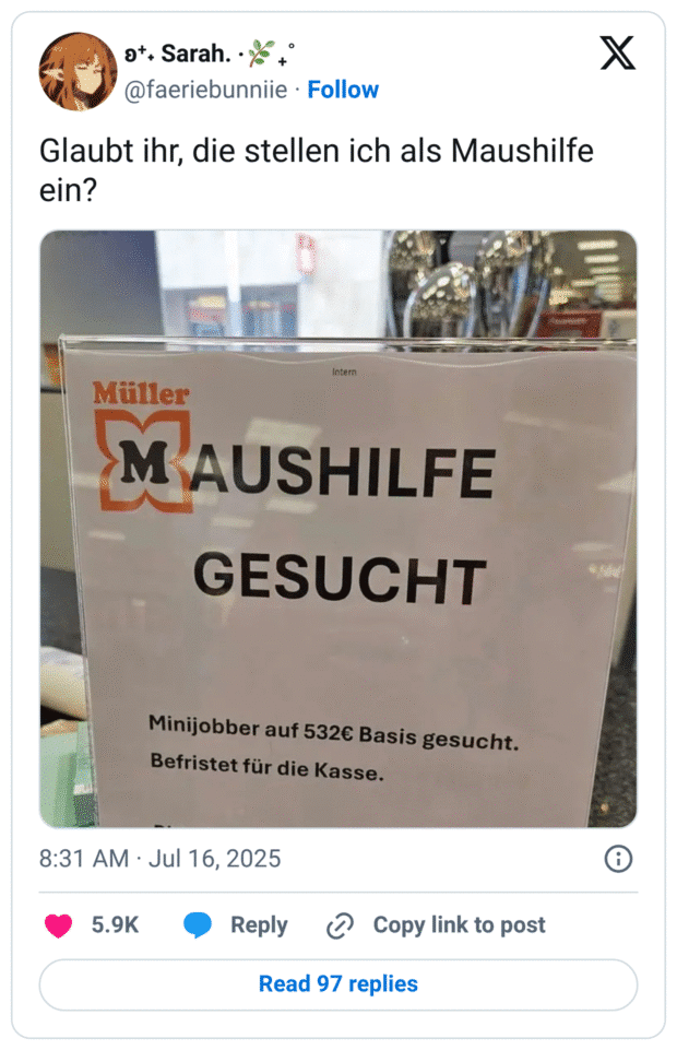 Glaubt ihr, die stellen ich als Maushilfe ein?