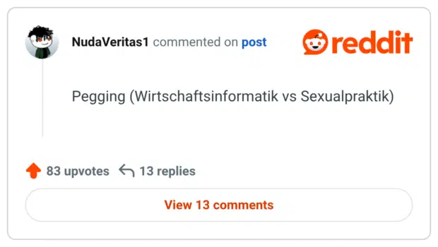 Pegging (Wirtschaftsinformatik vs Sexualpraktik)