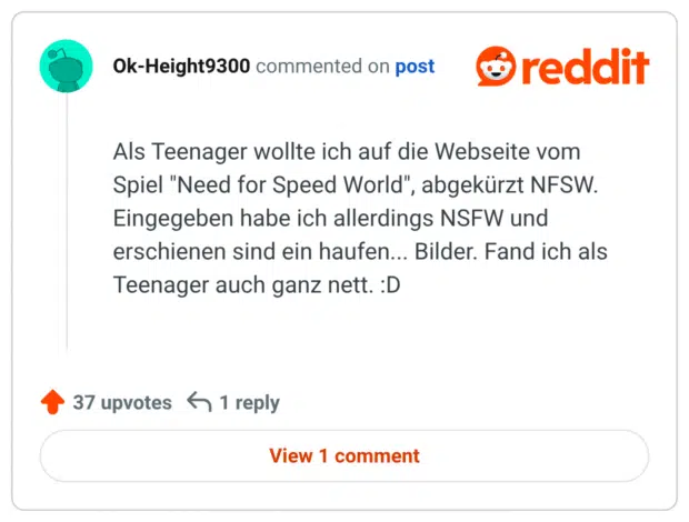 Als Teenager wollte ich auf die Webseite vom Spiel "Need for Speed World", abgekürzt NFSW. Eingegeben habe ich allerdings NSFW und erschienen sind ein haufen... Bilder. Fand ich als Teenager auch ganz nett. :D