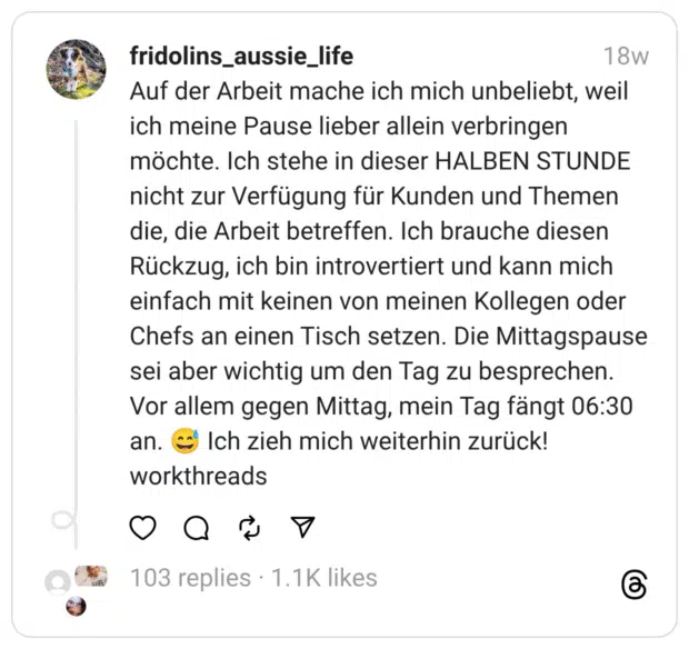 Auf der Arbeit mache ich mich unbeliebt, weil ich meine Pause lieber allein verbringen möchte. Ich stehe in dieser HALBEN STUNDE nicht zur Verfügung für Kunden und Themen die, die Arbeit betreffen. Ich brauche diesen Rückzug, ich bin introvertiert und kann mich einfach mit keinen von meinen Kollegen oder Chefs an einen Tisch setzen. Die Mittagspause sei aber wichtig um den Tag zu besprechen. Vor allem gegen Mittag, mein Tag fängt 06:30 an. 😅 Ich zieh mich weiterhin zurück! workthreads
