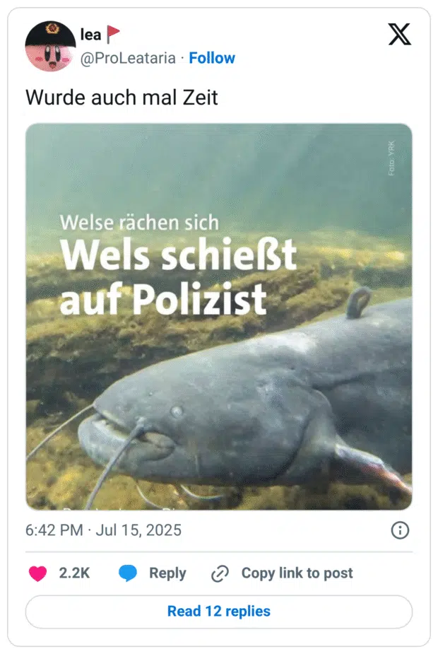 Wurde auch mal Zeit - Wels Meme