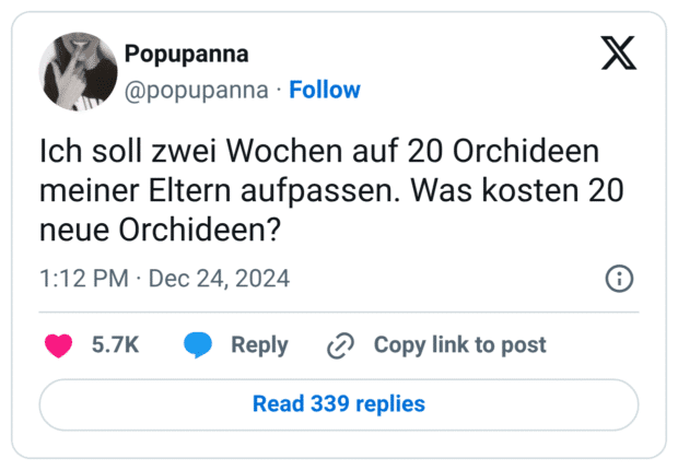 Ich soll zwei Wochen auf 20 Orchideen meiner Eltern aufpassen. Was kosten 20 neue Orchideen?