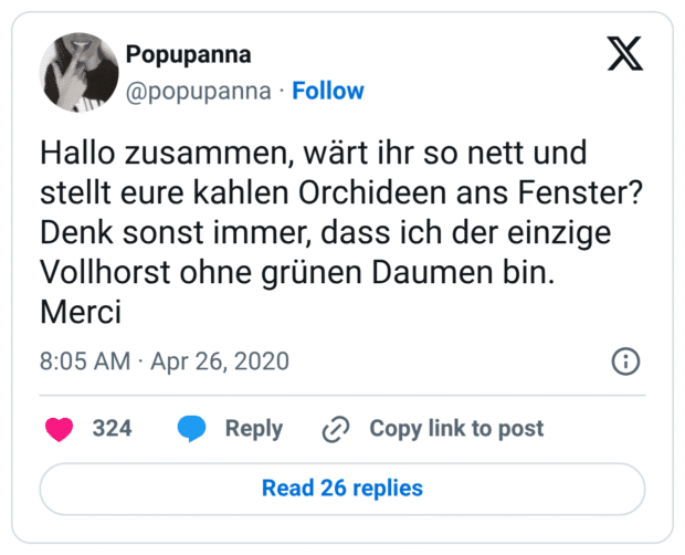 Ne Freundin bringt mir morgen ihre drei Orchideen vorbei, weil sie für ne Weile beruflich weg muss. Ich nehme ab sofort Wetten an wie viele überleben werden.