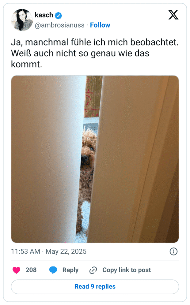 Ja, manchmal fühle ich mich beobachtet. Weiß auch nicht so genau wie das kommt.
