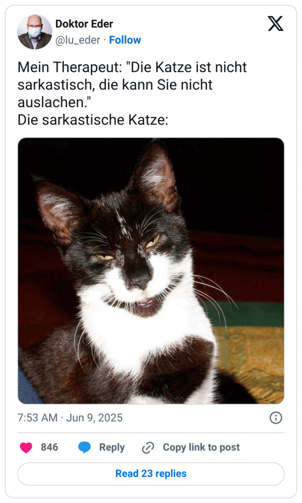 Mein Therapeut: "Die Katze ist nicht sarkastisch, die kann Sie nicht auslachen."
Die sarkastische Katze: