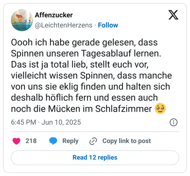 Oooh ich habe gerade gelesen, dass Spinnen unseren Tagesablauf lernen. Das ist ja total lieb, stellt euch vor, vielleicht wissen Spinnen, dass manche von uns sie eklig finden und halten sich deshalb höflich fern und essen auch noch die Mücken im Schlafzimmer 🥹
