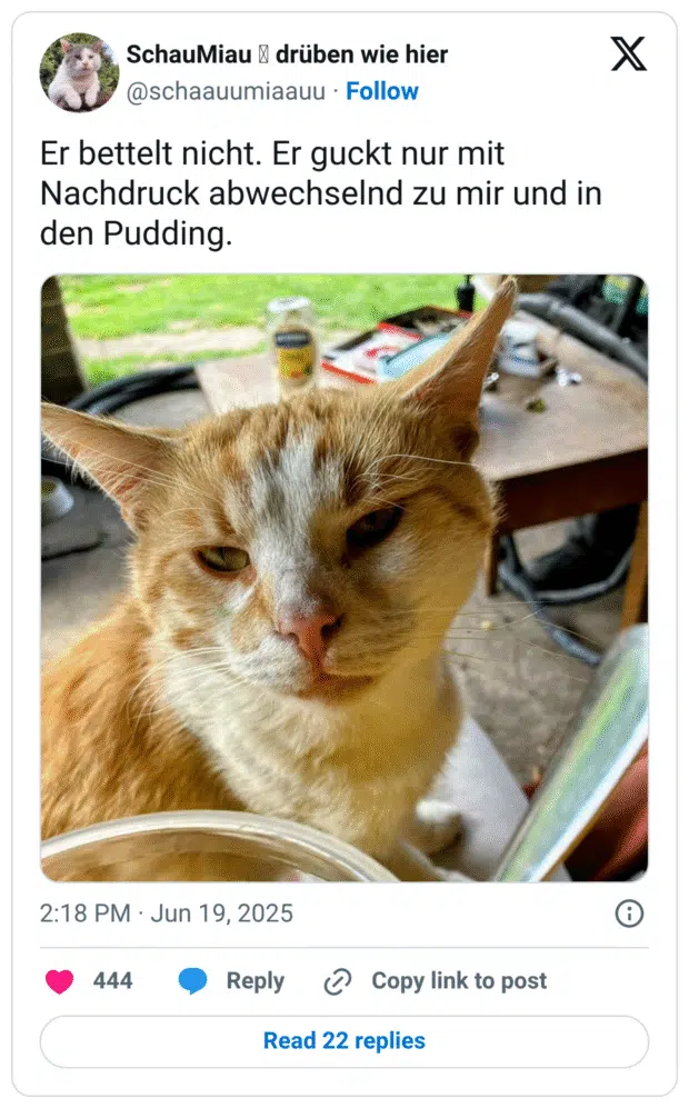 Meine Liebe zu den Hühnern hat sich wohl herumgesprochen. Eine Patientin brachte kürzlich dieses Schild. 

Ich hoffe, meine Hühner nehmen ihre Aufgabe ernst! 😀
