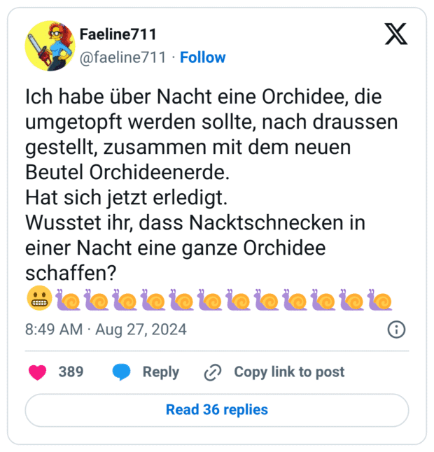 Ich habe über Nacht eine Orchidee, die umgetopft werden sollte, nach draussen gestellt, zusammen mit dem neuen Beutel Orchideenerde.
Hat sich jetzt erledigt.
Wusstet ihr, dass Nacktschnecken in einer Nacht eine ganze Orchidee schaffen?
:grimasse::schnecke::schnecke::schnecke::schnecke::schnecke::schnecke::schnecke::schnecke::schnecke::schnecke::schnecke::schnecke: