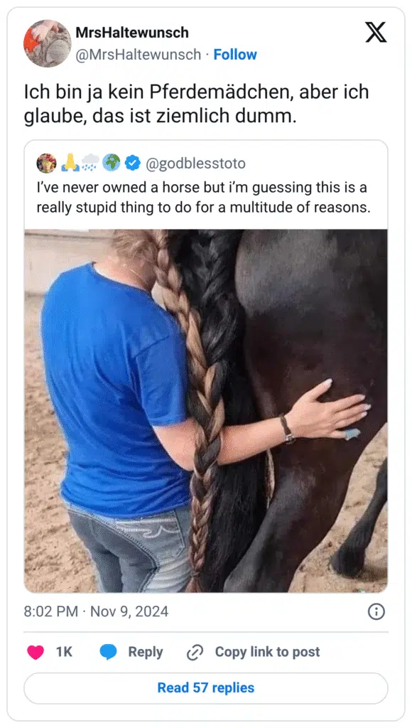 Ich bin ja kein Pferdemädchen, aber ich glaube, das ist ziemlich dumm.