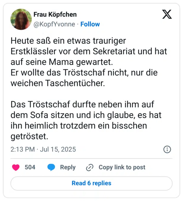 Heute saß ein etwas trauriger Erstklässler vor dem Sekretariat und hat auf seine Mama gewartet.
Er wollte das Tröstschaf nicht, nur die weichen Taschentücher.

Das Tröstschaf durfte neben ihm auf dem Sofa sitzen und ich glaube, es hat ihn heimlich trotzdem ein bisschen getröstet.