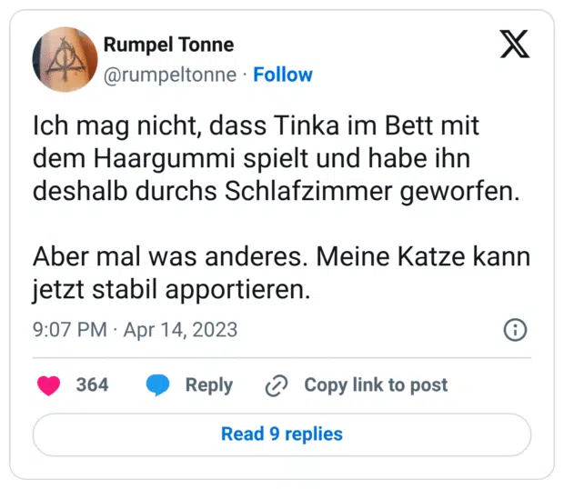 Ich mag nicht, dass Tinka im Bett mit dem Haargummi spielt und habe ihn deshalb durchs Schlafzimmer geworfen. 

Aber mal was anderes. Meine Katze kann jetzt stabil apportieren.