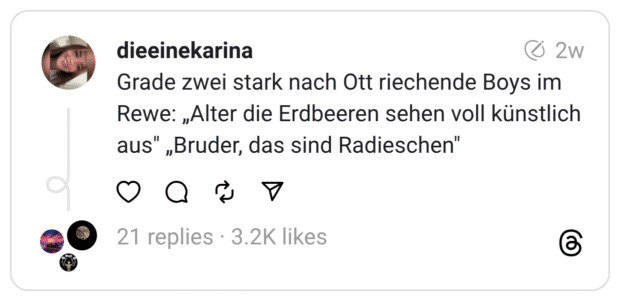 Grade zwei stark nach Ott riechende Boys im Rewe: „Alter die Erdbeeren sehen voll künstlich aus" „Bruder, das sind Radieschen"