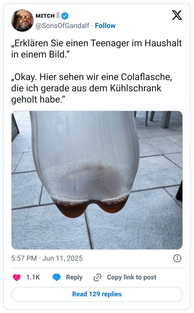 „Erklären Sie einen Teenager im Haushalt in einem Bild.“

„Okay. Hier sehen wir eine Colaflasche, die ich gerade aus dem Kühlschrank geholt habe.“