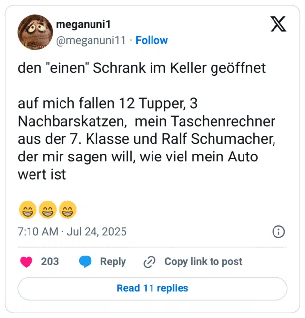 den "einen" Schrank im Keller geöffnet

auf mich fallen 12 Tupper, 3 Nachbarskatzen,  mein Taschenrechner aus der 7. Klasse und Ralf Schumacher, der mir sagen will, wie viel mein Auto wert ist

😁😁😁