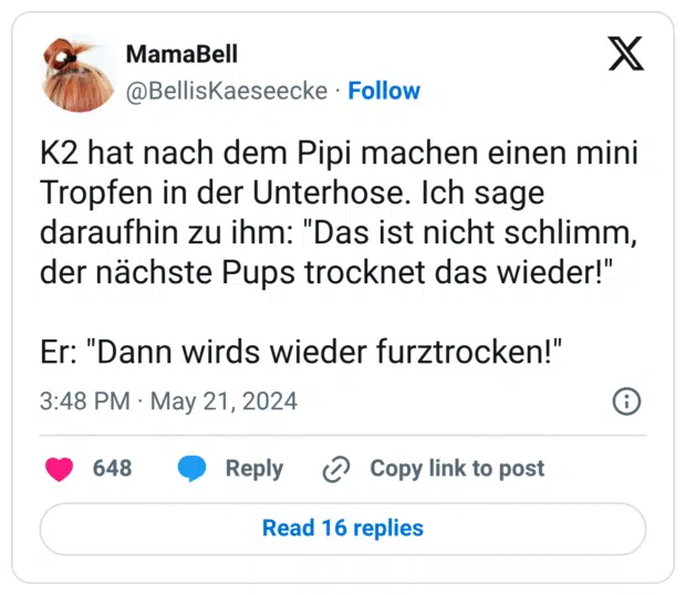 K2 hat nach dem Pipi machen einen mini Tropfen in der Unterhose. Ich sage daraufhin zu ihm: "Das ist nicht schlimm, der nächste Pups trocknet das wieder!"

Er: "Dann wirds wieder furztrocken!"