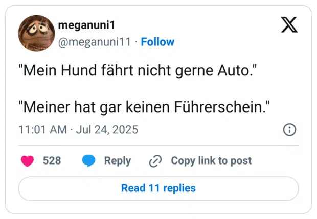 "Mein Hund fährt nicht gerne Auto." "Meiner hat gar keinen Führerschein.