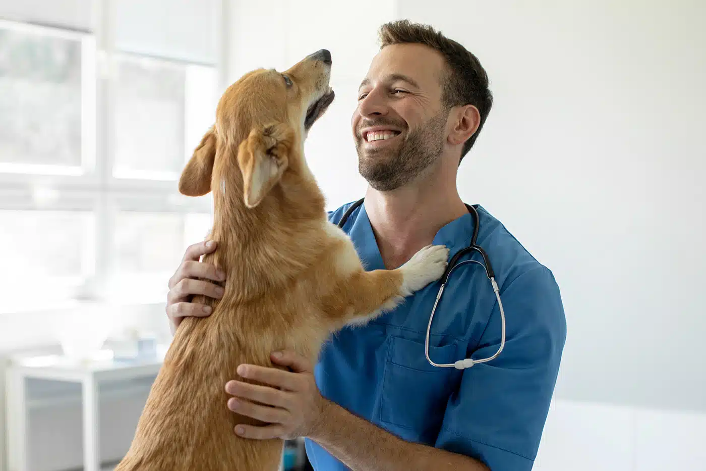 14 kostspielige Posts vom Tierarzt