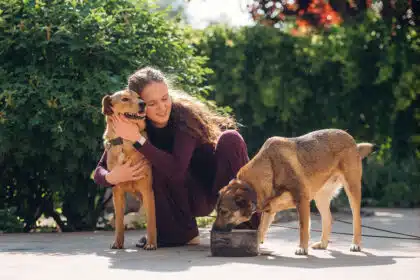 Frau sitzt im Garten mit zwei Hunden, einer wird gestreichelt, der andere trinkt Wasser aus einer Schüssel.