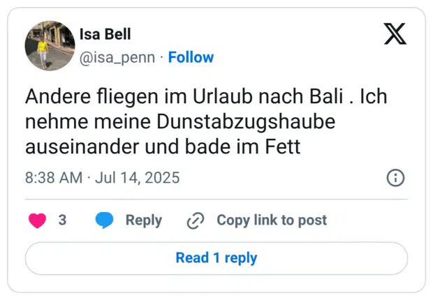 Andere fliegen im Urlaub nach Bali . Ich nehme meine Dunstabzugshaube auseinander und bade im Fett