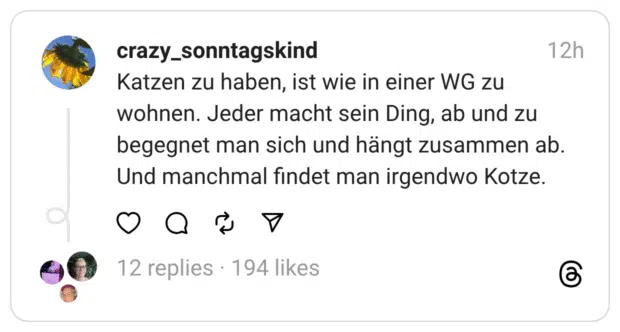 Katzen zu haben, ist wie in einer WG zu wohnen. Jeder macht sein Ding, ab und zu begegnet man sich und hängt zusammen ab. Und manchmal findet man irgendwo Kotze.