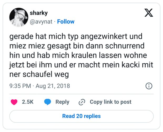 gerade hat mich typ angezwinkert und miez miez gesagt bin dann schnurrend hin und hab mich kraulen lassen wohne jetzt bei ihm und er macht mein kacki mit ner schaufel weg