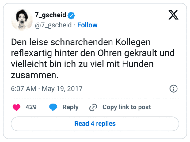 Den leise schnarchenden Kollegen reflexartig hinter den Ohren gekrault und vielleicht bin ich zu viel mit Hunden zusammen.
