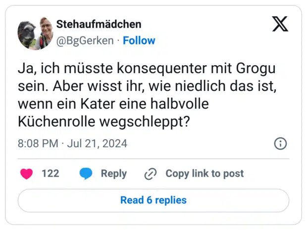Ja, ich müsste konsequenter mit Grogu sein. Aber wisst ihr, wie niedlich das ist, wenn ein Kater eine halbvolle Küchenrolle wegschleppt?
