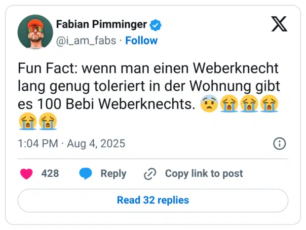 Fun Fact: wenn man einen Weberknecht lang genug toleriert in der Wohnung gibt es 100 Bebi Weberknechts. 😨😭😭😭😭😭