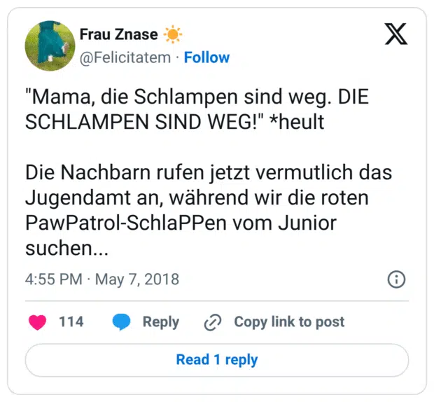 "Mama, die Schlampen sind weg. DIE SCHLAMPEN SIND WEG!" *heult Die Nachbarn rufen jetzt vermutlich das Jugendamt an, während wir die roten PawPatrol-SchlaPPen vom Junior suchen...