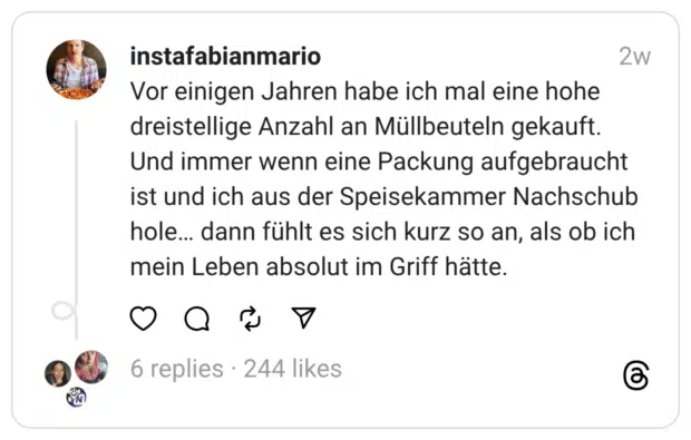Vor einigen Jahren habe ich mal eine hohe dreistellige Anzahl an Müllbeuteln gekauft. Und immer wenn eine Packung aufgebraucht ist und ich aus der Speisekammer Nachschub hole... dann fühlt es sich kurz so an, als ob ich mein Leben absolut im Griff hätte.