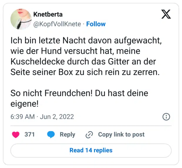 Ich bin letzte Nacht davon aufgewacht, wie der Hund versucht hat, meine Kuscheldecke durch das Gitter an der Seite seiner Box zu sich rein zu zerren. So nicht Freundchen! Du hast deine eigene!