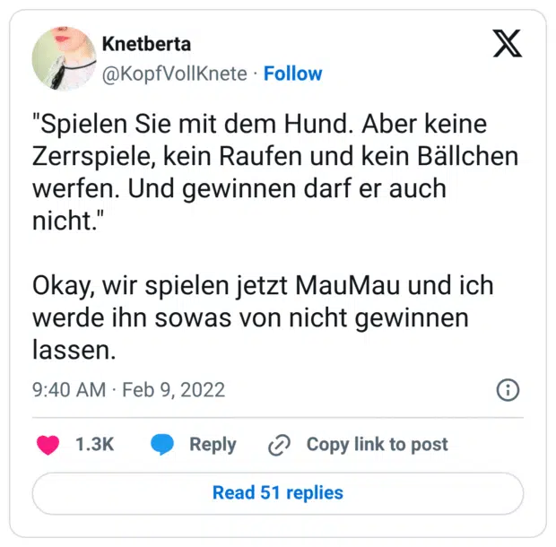 "Spielen Sie mit dem Hund. Aber keine Zerrspiele, kein Raufen und kein Bällchen werfen. Und gewinnen darf er auch nicht." Okay, wir spielen jetzt MauMau und ich werde ihn sowas von nicht gewinnen lassen.