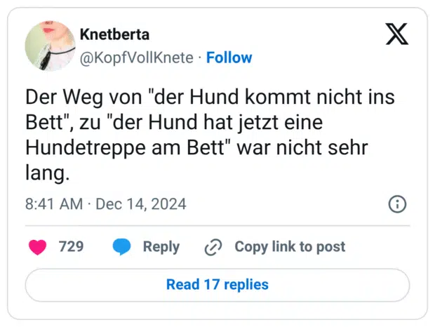Der Weg von "der Hund kommt nicht ins Bett", zu "der Hund hat jetzt eine Hundetreppe am Bett" war nicht sehr lang.