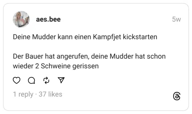 Deine Mudder kann einen Kampfjet kickstarten Der Bauer hat angerufen, deine Mudder hat schon wieder 2 Schweine gerissen