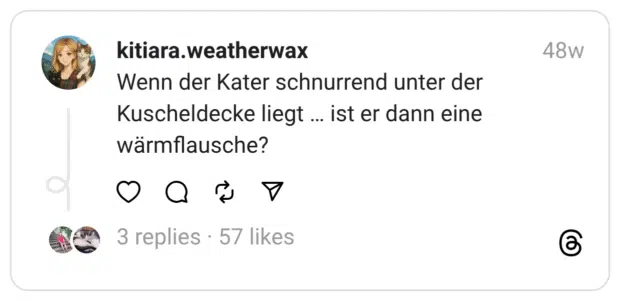 Wenn der Kater schnurrend unter der Kuscheldecke liegt … ist er dann eine wärmflausche?